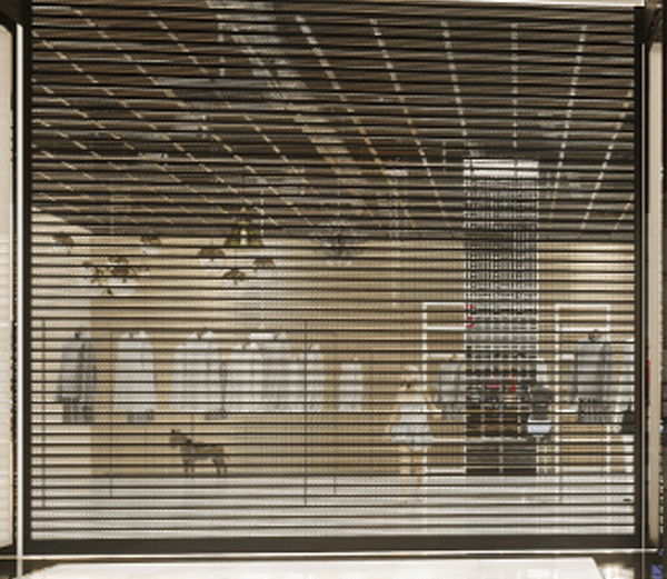 Entrexguard Security Shutter at a Retail Business.